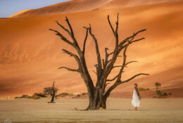 Namibia_August (46/135)